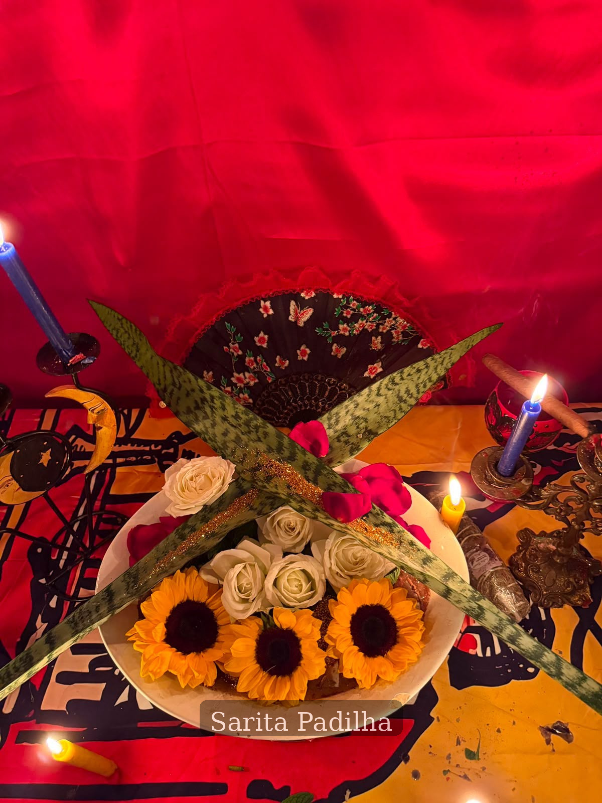 Limpeza e proteção — foto 2 de 3